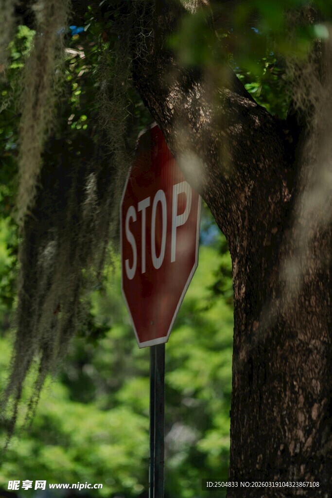 林间的红色停车标志牌