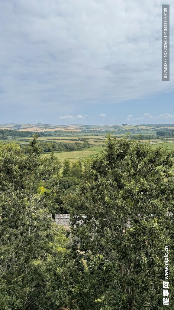 田园风光中的葱郁植被