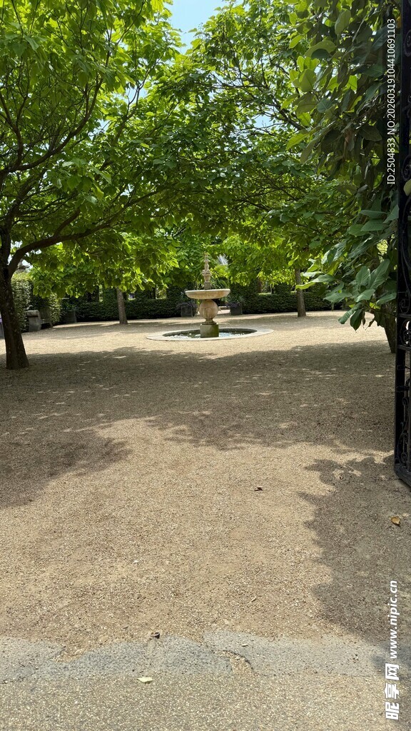 公园绿荫下的空旷场地