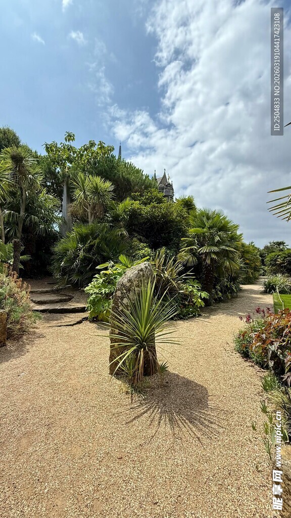 户外沙地绿植景观