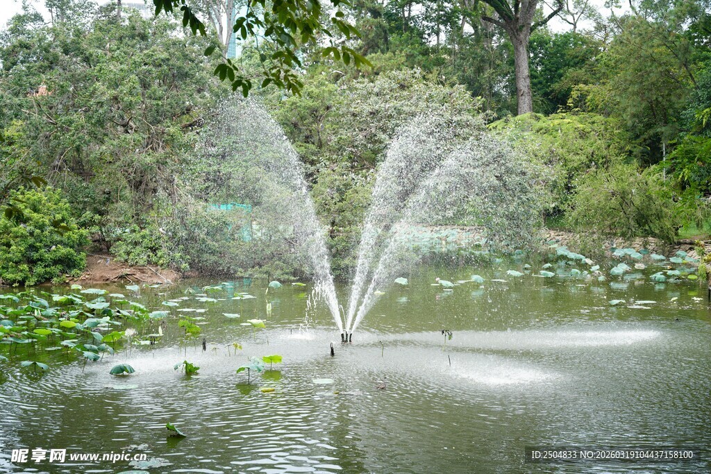 池塘喷泉景观