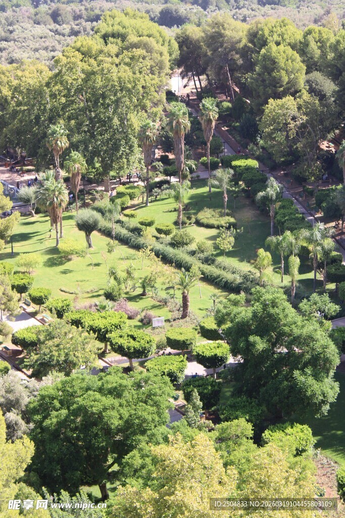 美丽繁茂的花园景观