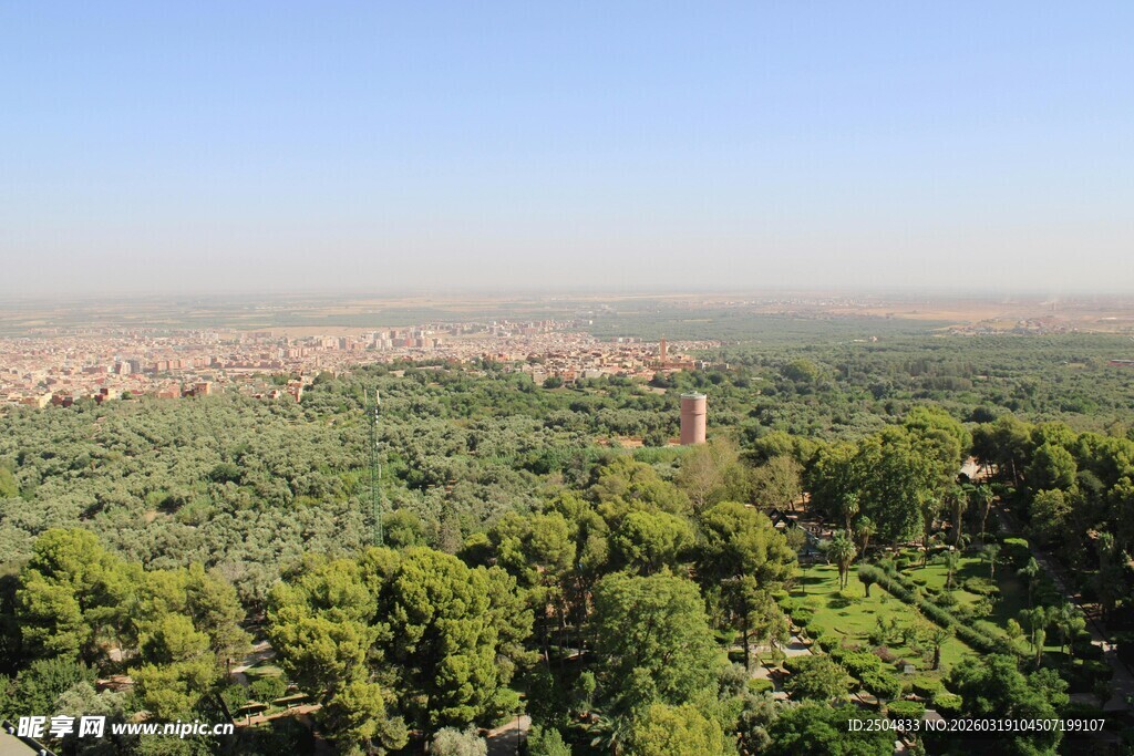 俯瞰葱郁树林与远方景观