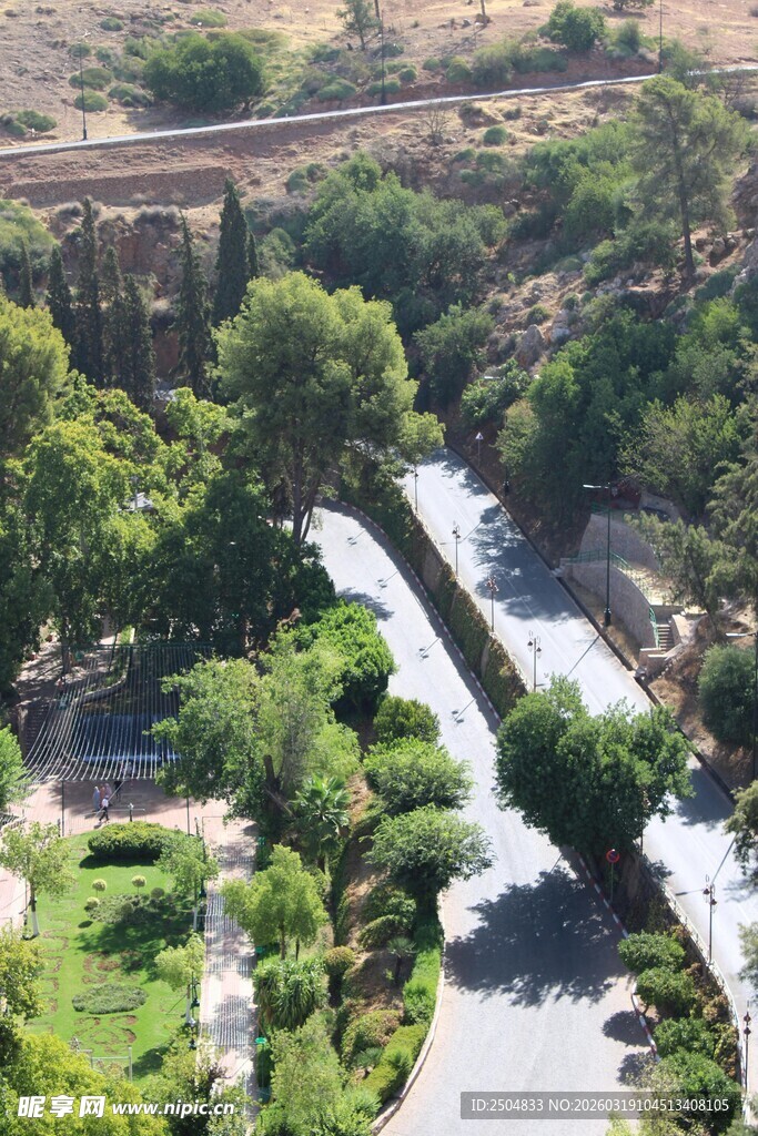 俯瞰绿意盎然的城市景观