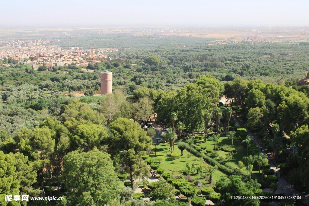 俯瞰葱郁森林中的建筑