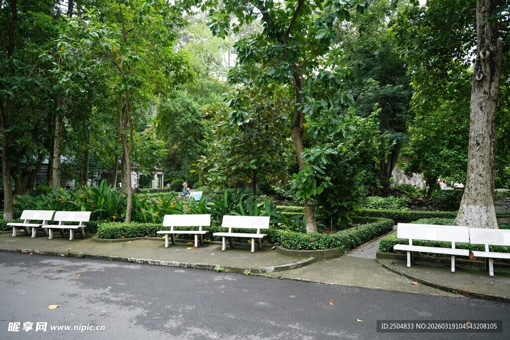 公园林荫下的长椅景观