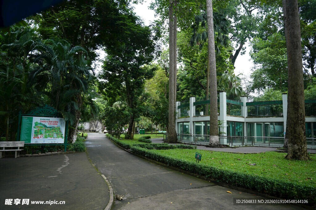 林荫小道旁的清新景致