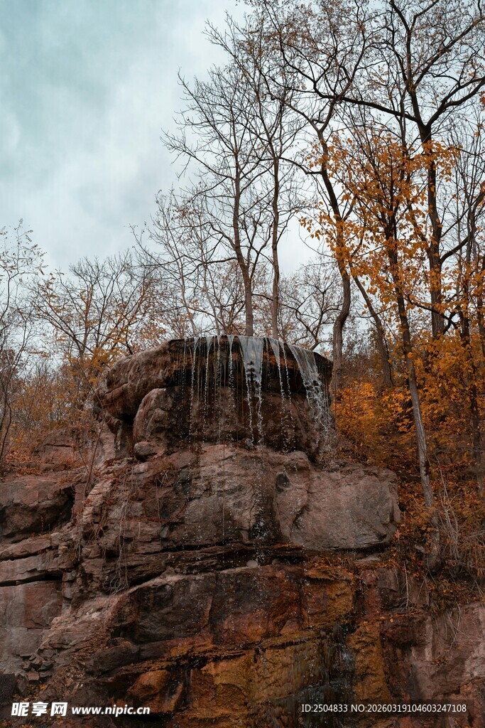 秋日溪边岩石与树木景致