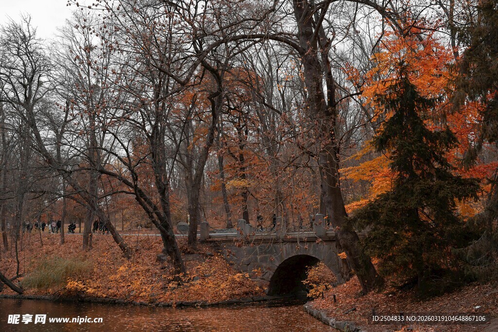 秋日林间石桥风景图