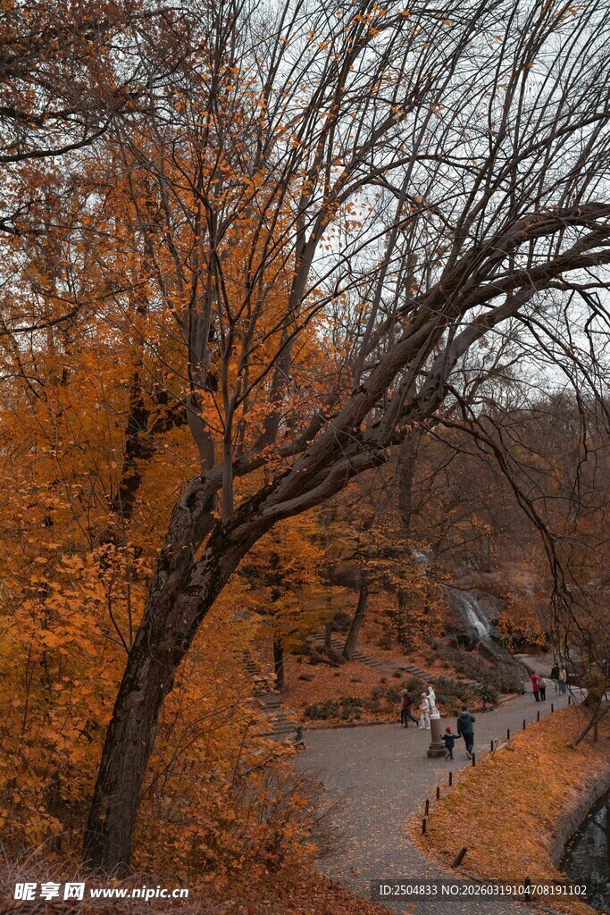 秋日林间小道美景