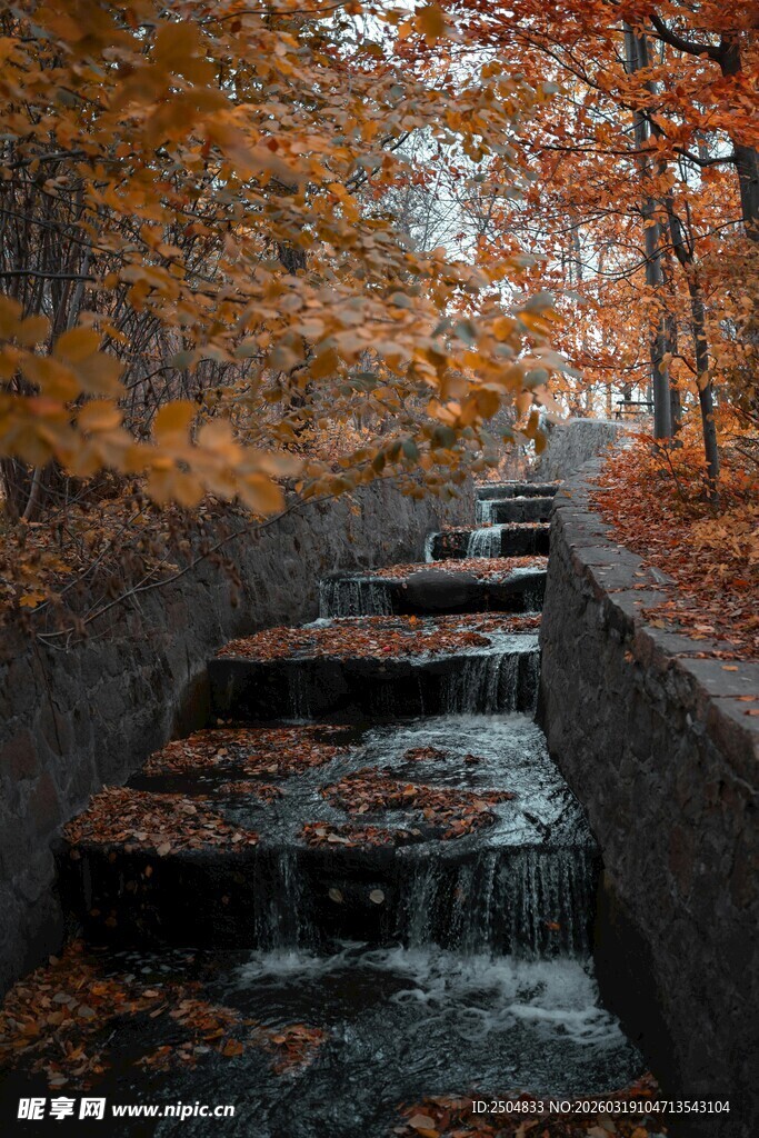 秋日溪边落叶景致