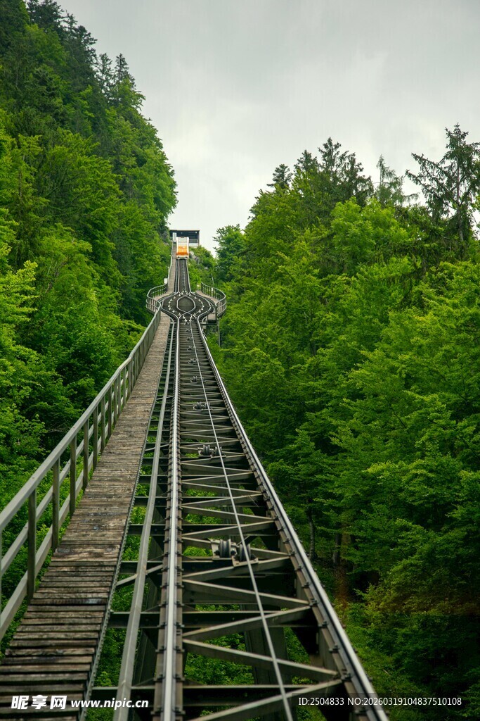 山间木质长梯 绿意环绕