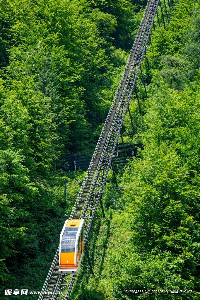 山林中穿行的黄色列车