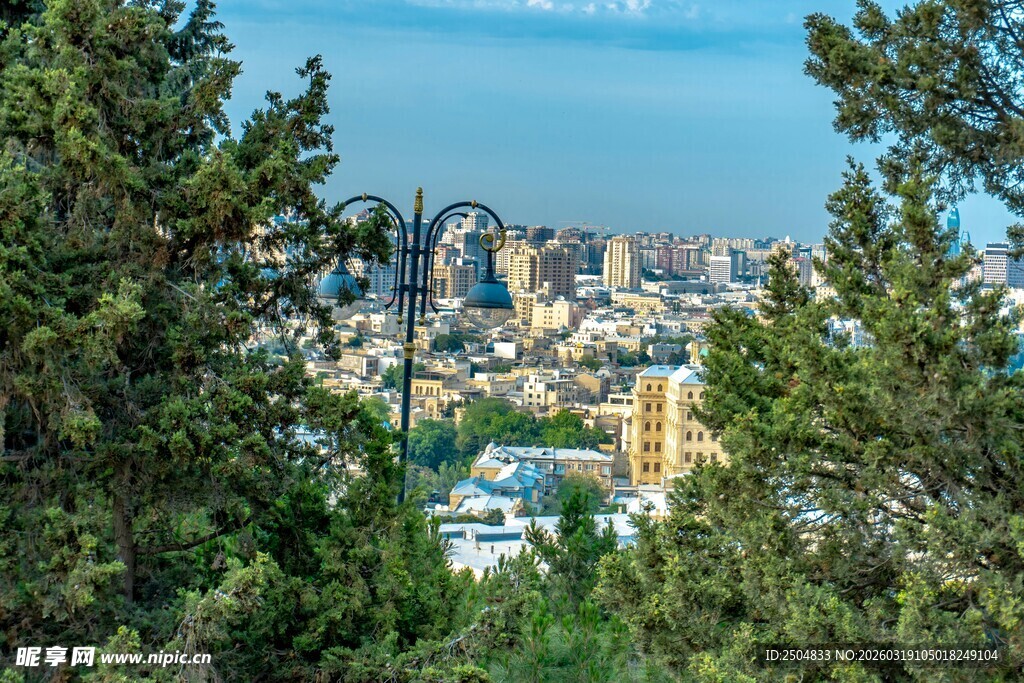 林间眺望城市景观