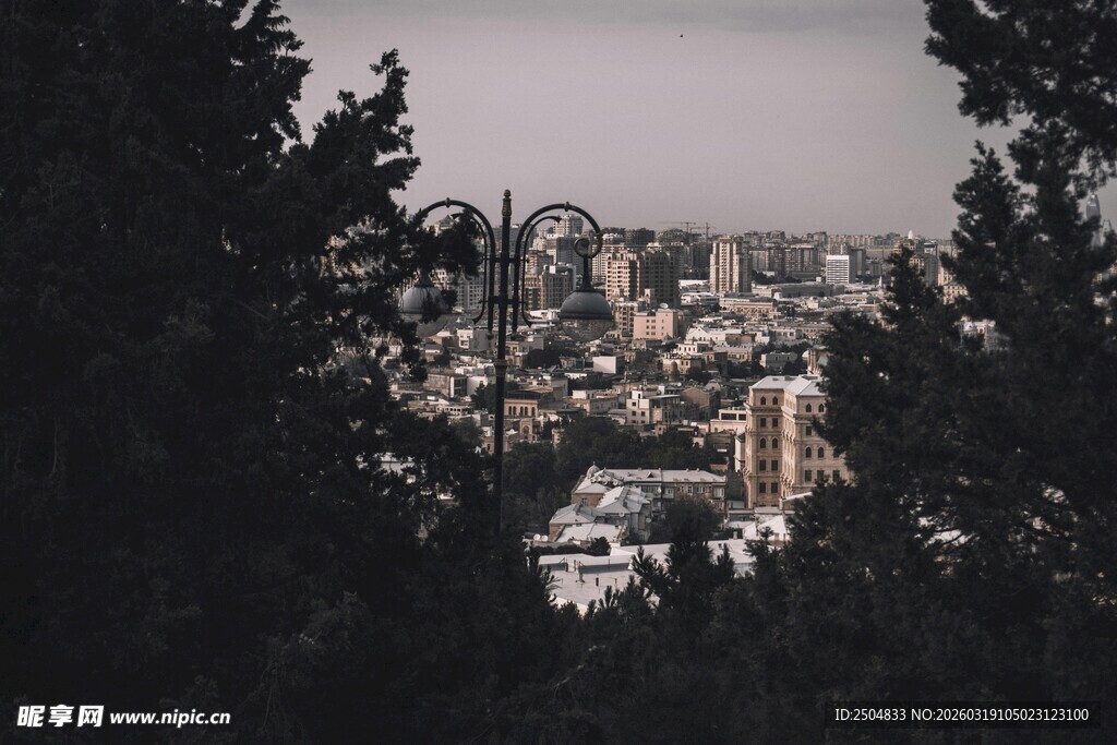 从树间眺望城市景观