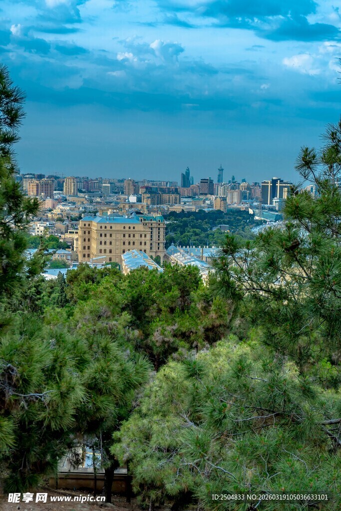 城市天际线与葱郁树林