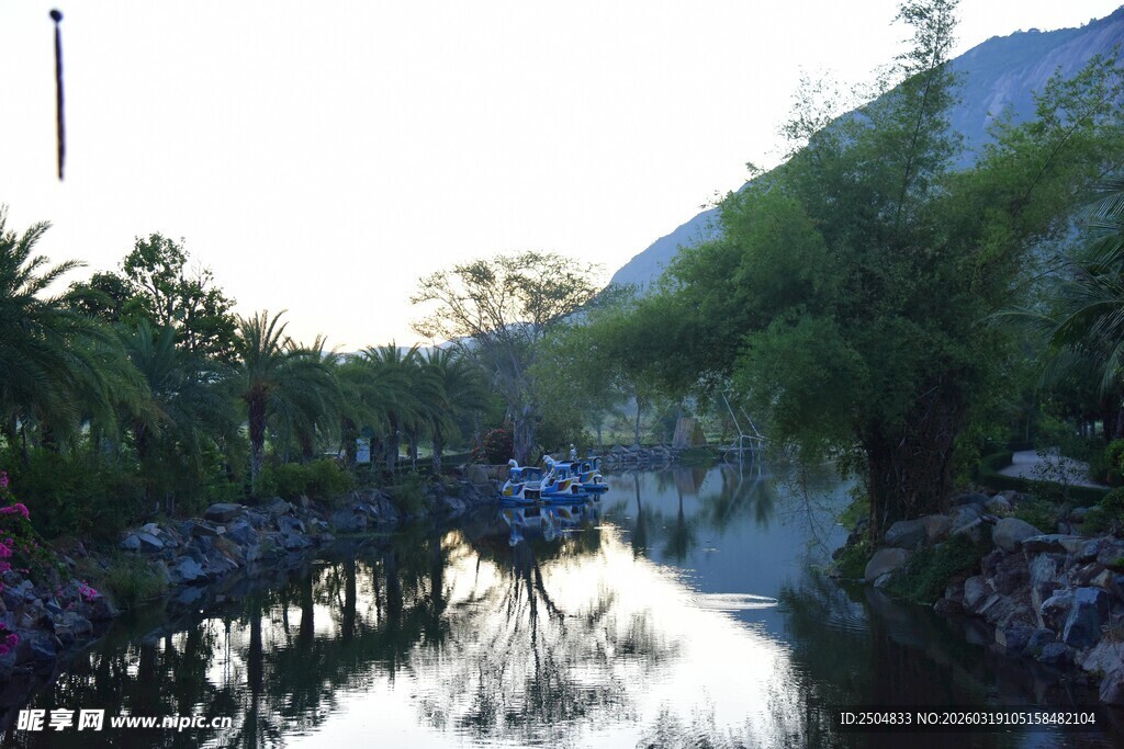 宁静溪流畔的自然美景