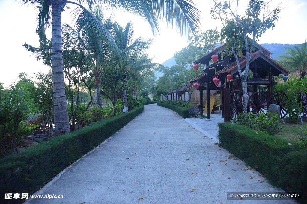 热带风情的静谧小道
