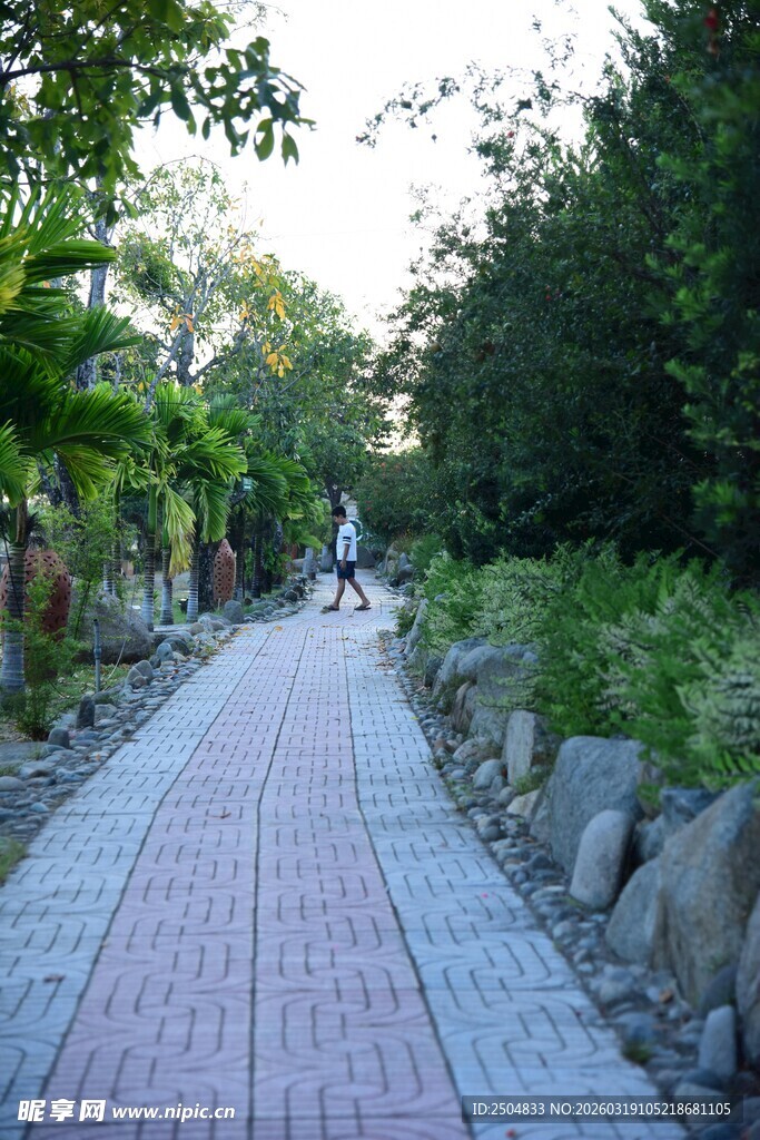 林间砖铺小道 静谧悠然