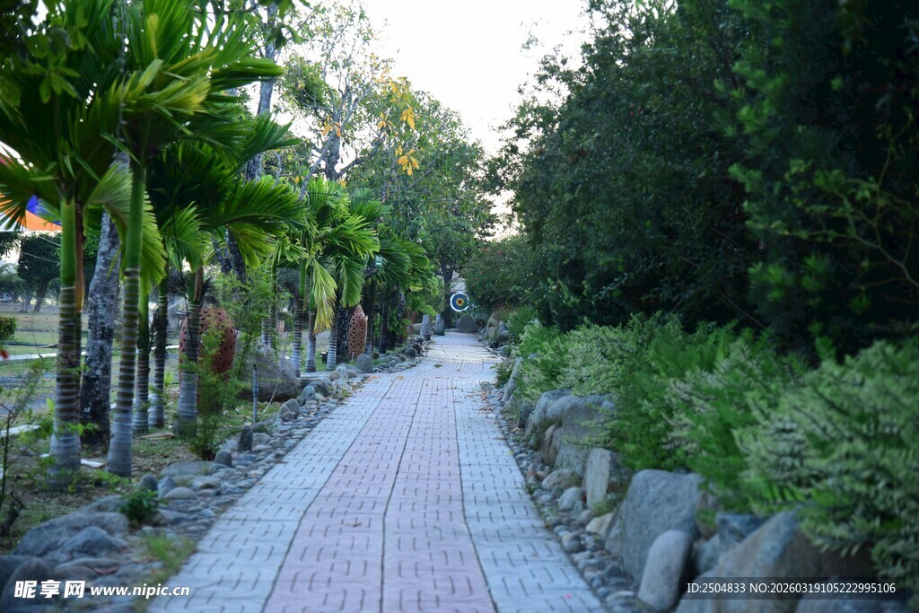 林间砖石小径 绿意盎然