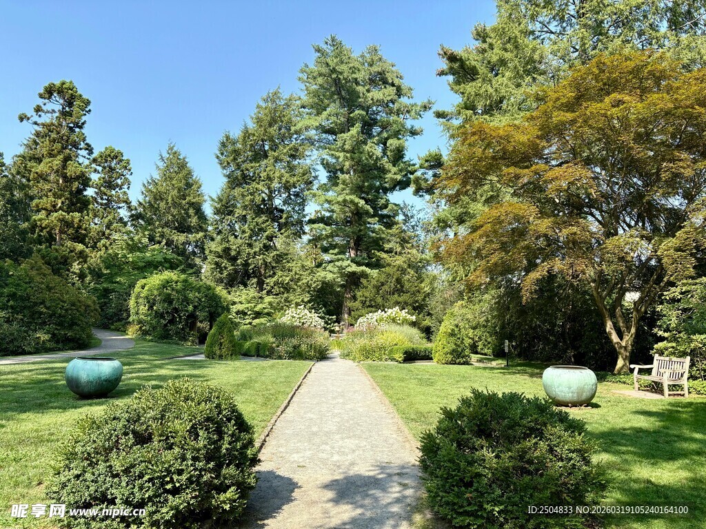 宁静美丽的林间花园小路