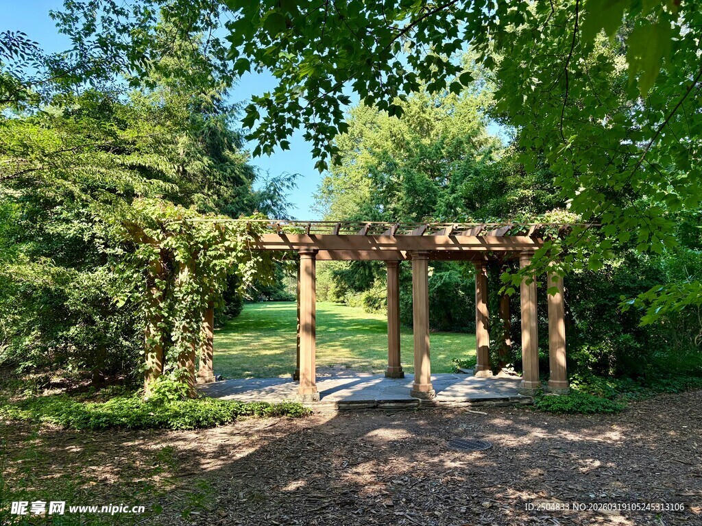 林间木质凉亭景观