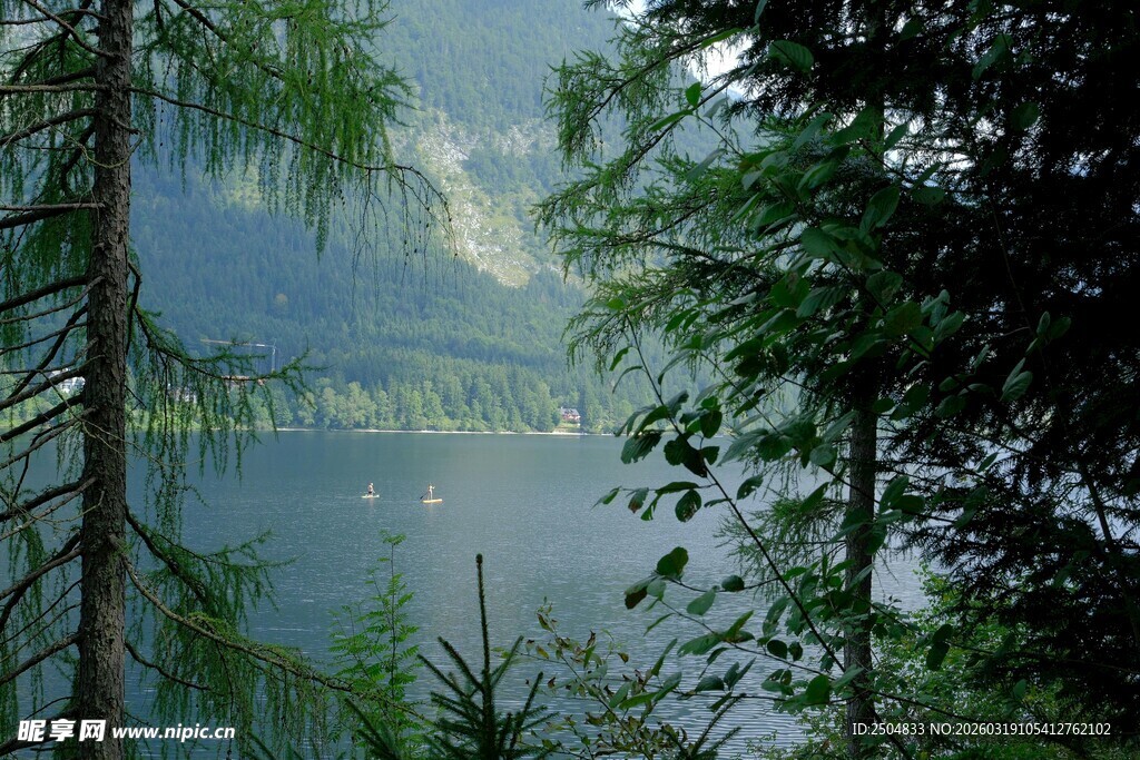 林间湖畔的静谧自然风光