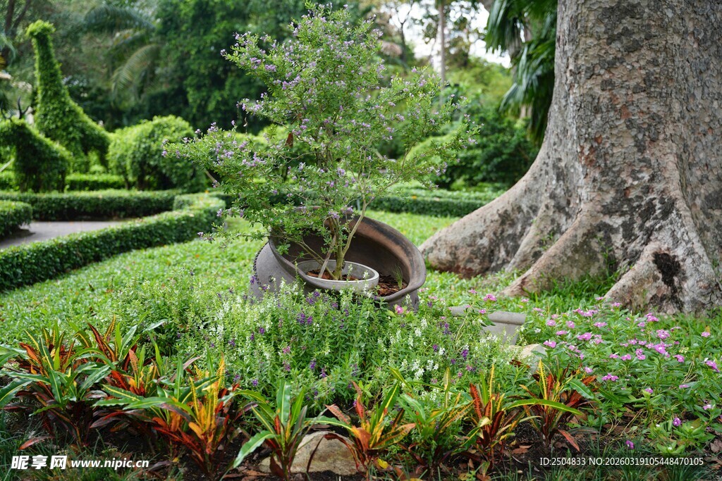 花园中盘绕于树根的蛇