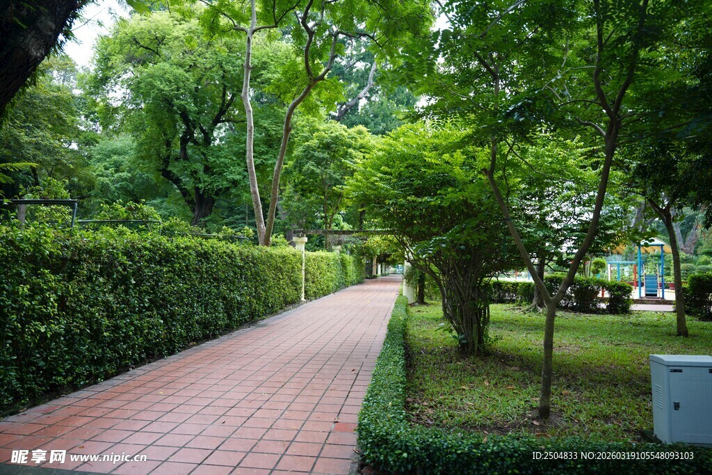 林间红砖小径 绿意盎然