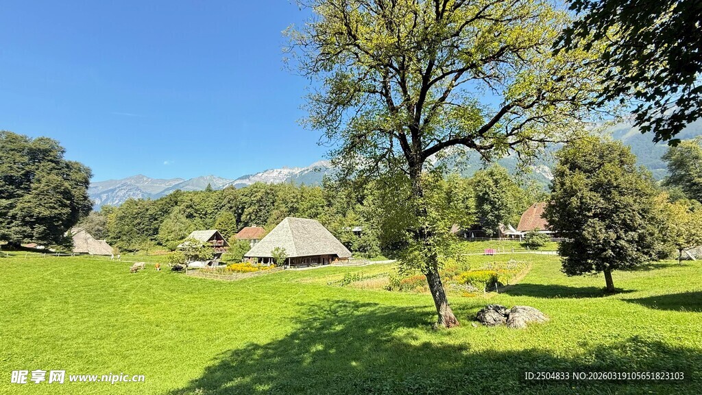田园草地间的静谧小屋