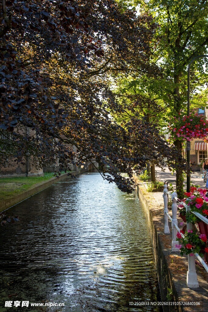 河畔绿荫下的静谧水道