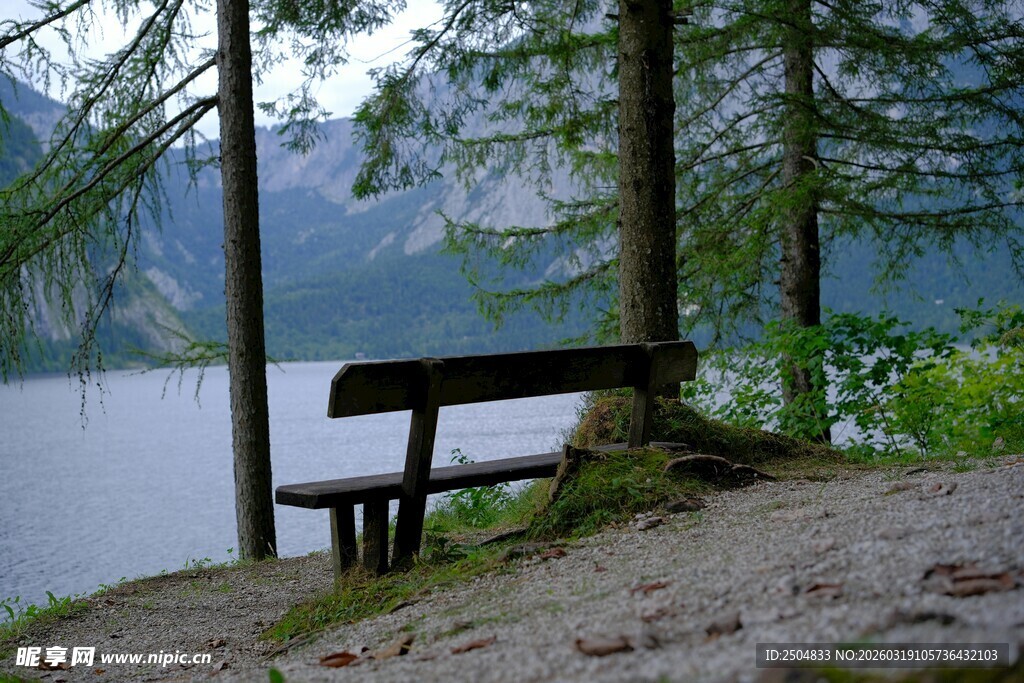 湖畔林间长椅 静谧景致