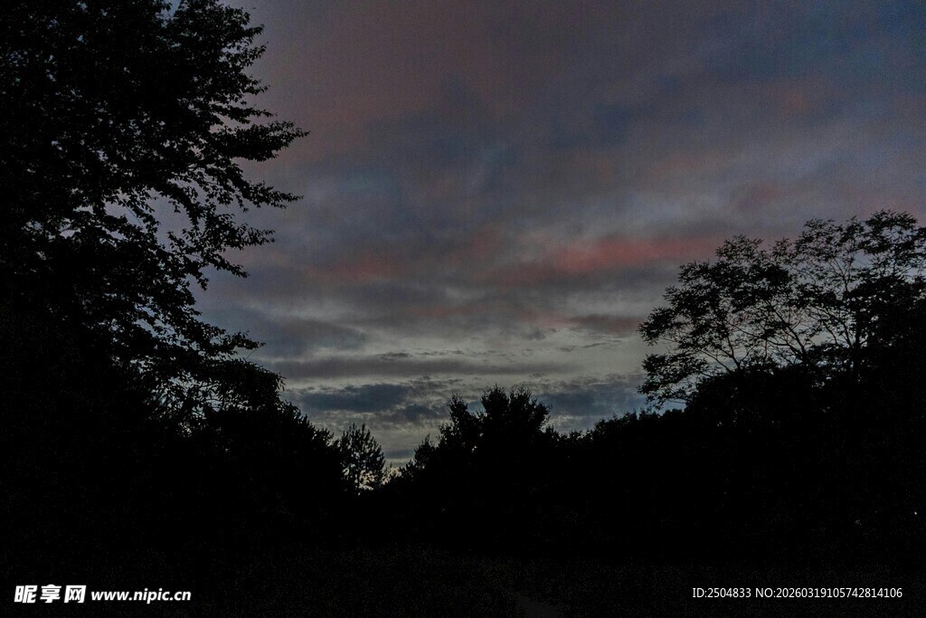 黄昏时分的树林与天空