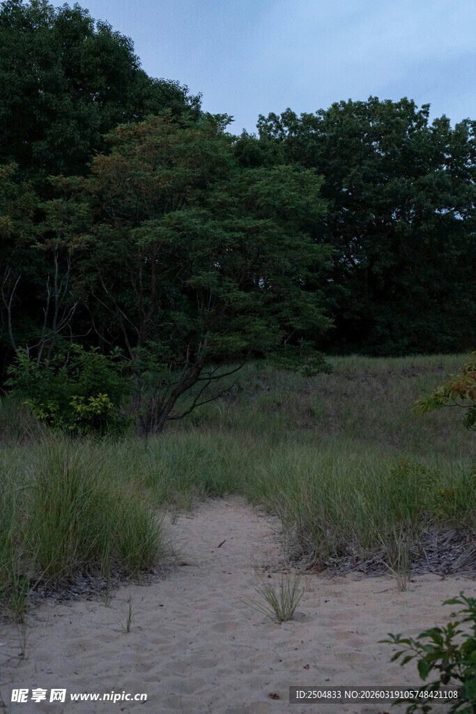 黄昏下的林间小径