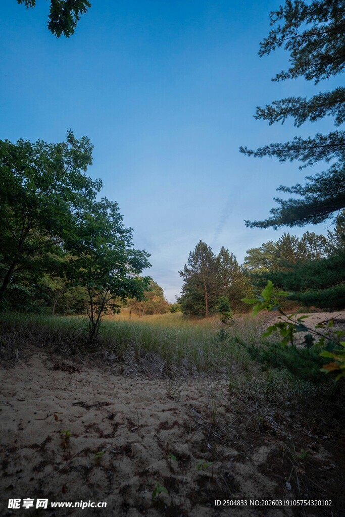 林间开阔地 自然好风光