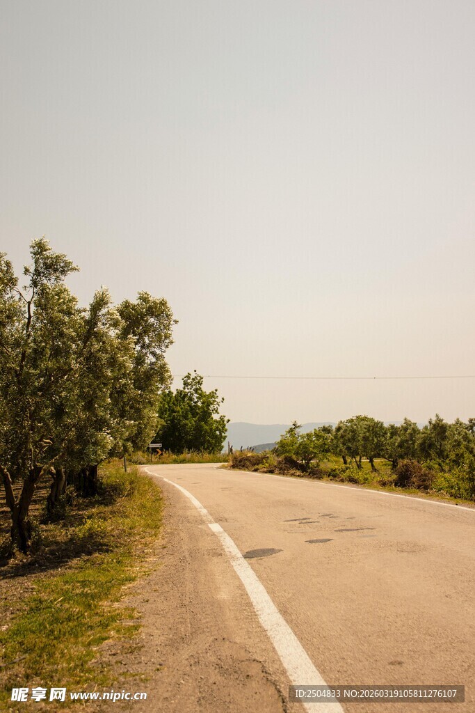 乡间公路 绿树相伴