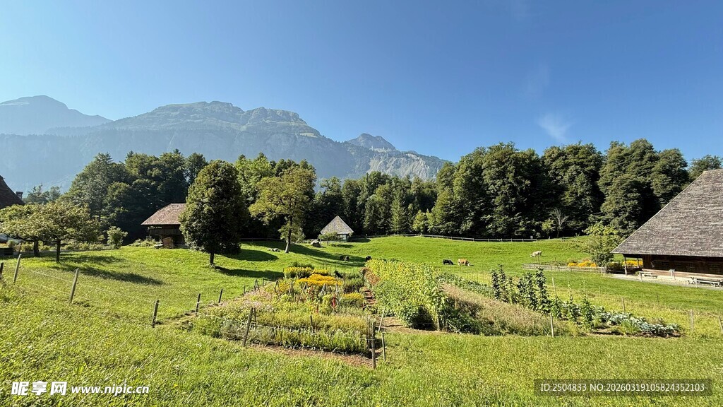 田园风光中的小屋与青山