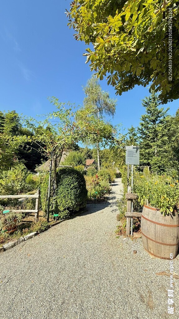 宁静花园中的碎石小径