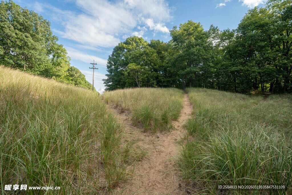 山间小径 漫步自然之境
