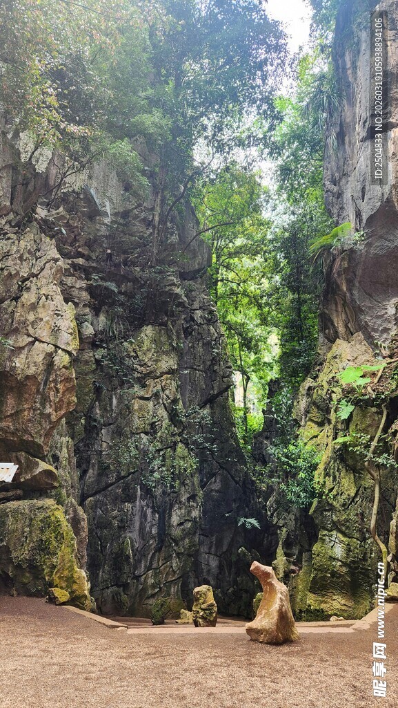 神秘丛林中的岩石景观