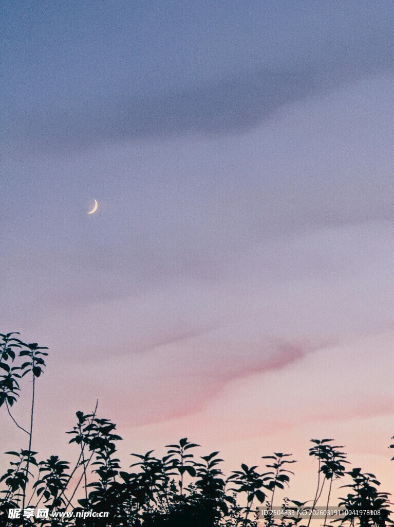 黄昏下的树与天边月牙
