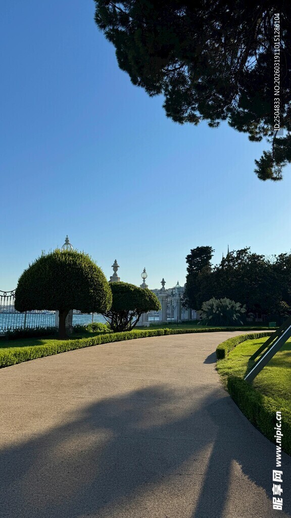 公园中的宁静林荫小道