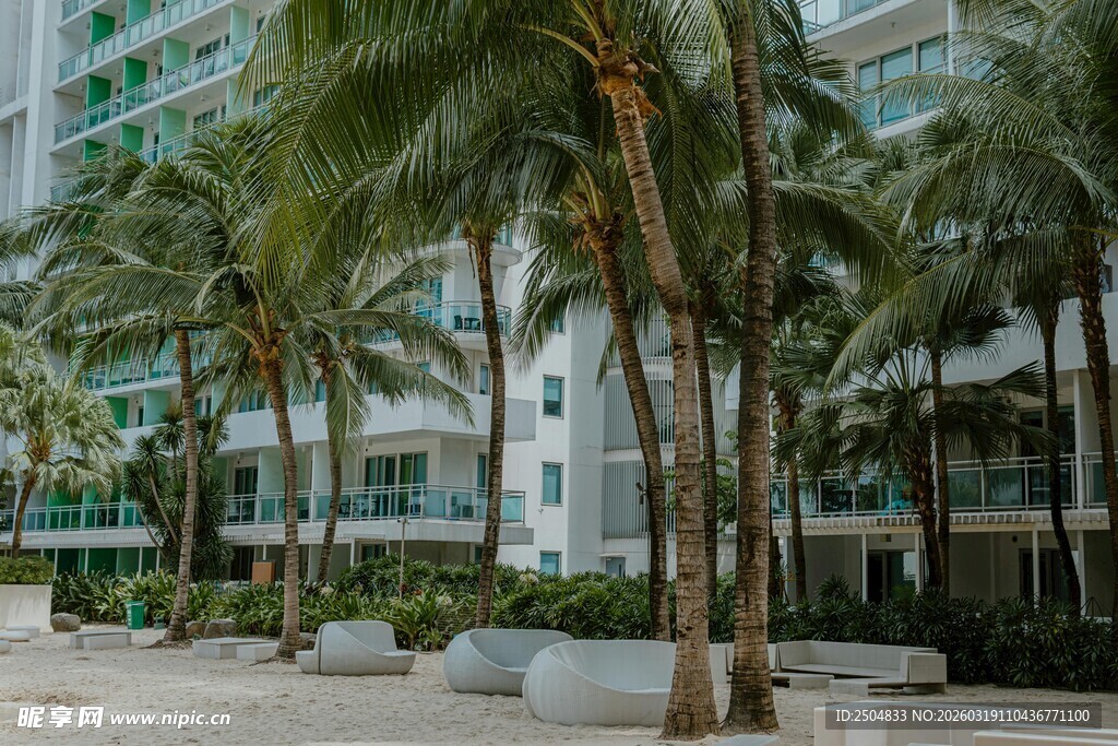 热带风情下的现代建筑景观