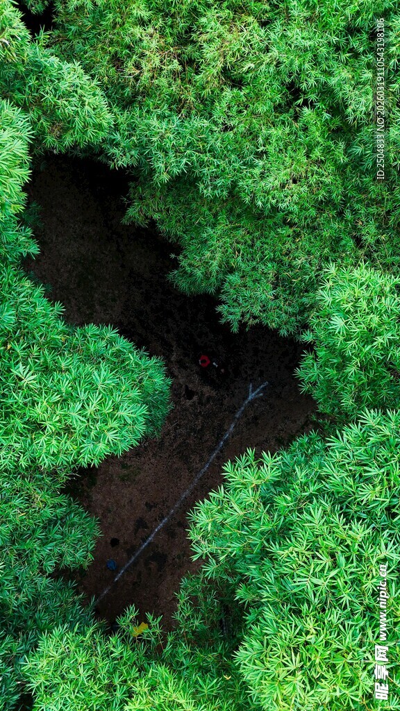 俯瞰葱郁山林间的溪流