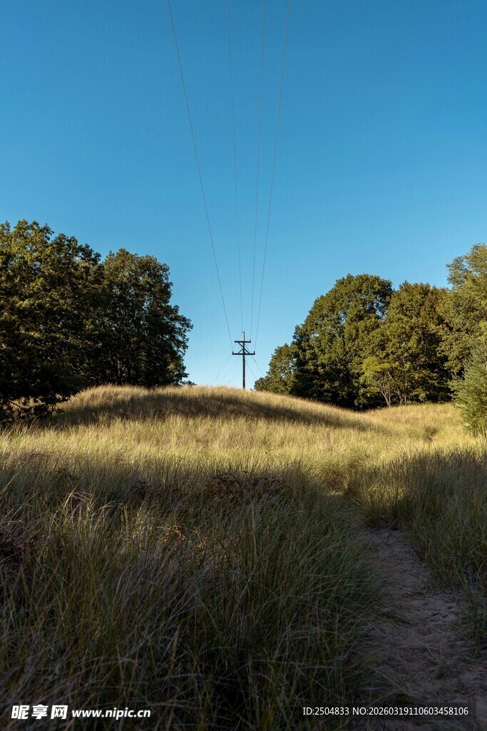 原野草地间的树木与小径