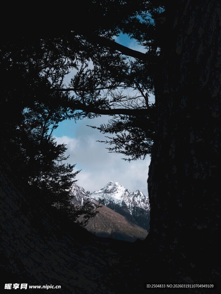 林间望雪山美景