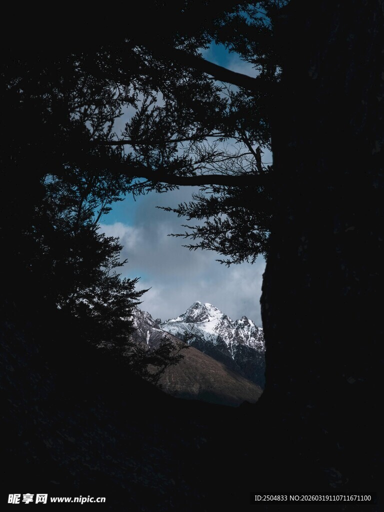 透过树林望雪山美景