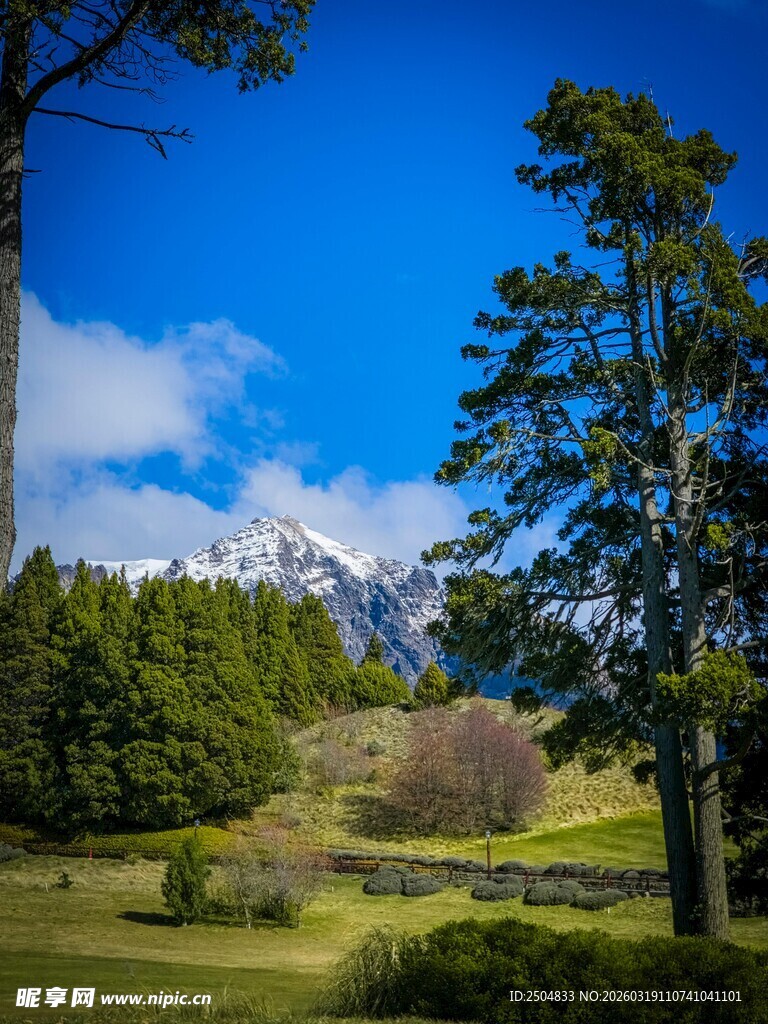 山间绿野与远处雪山美景