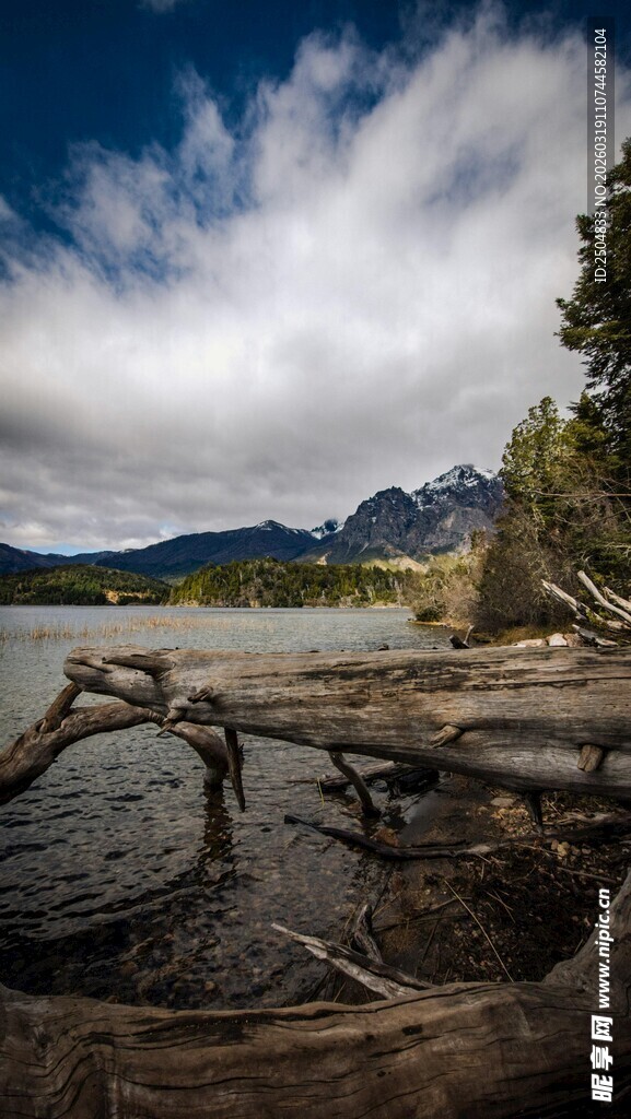 湖畔枯木与远处山峦美景