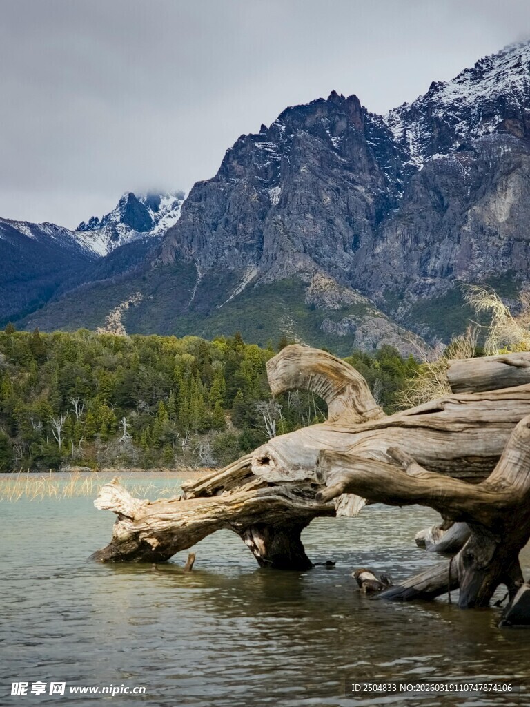 湖畔枯木与壮美雪山景观